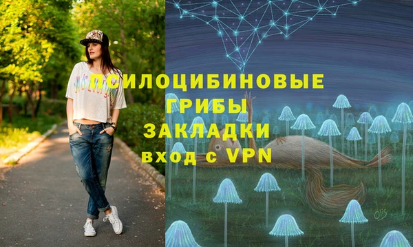 MDMA Белокуриха