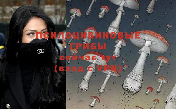 MDMA Беломорск