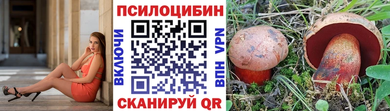 Купить где  Мирный  Псилоцибиновые грибы Psilocybe 